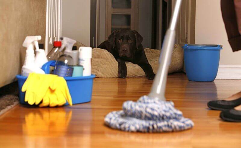 Do You Need The Service of Apartment cleaning Washington?