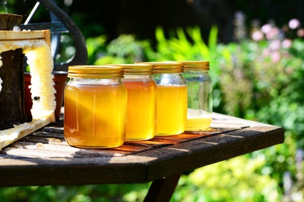 Sourwood Honey in small bottles