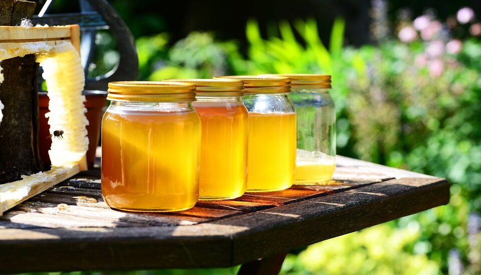 Why is Sourwood Honey Rare and Unique? Know the Benefits and Culinary Usage